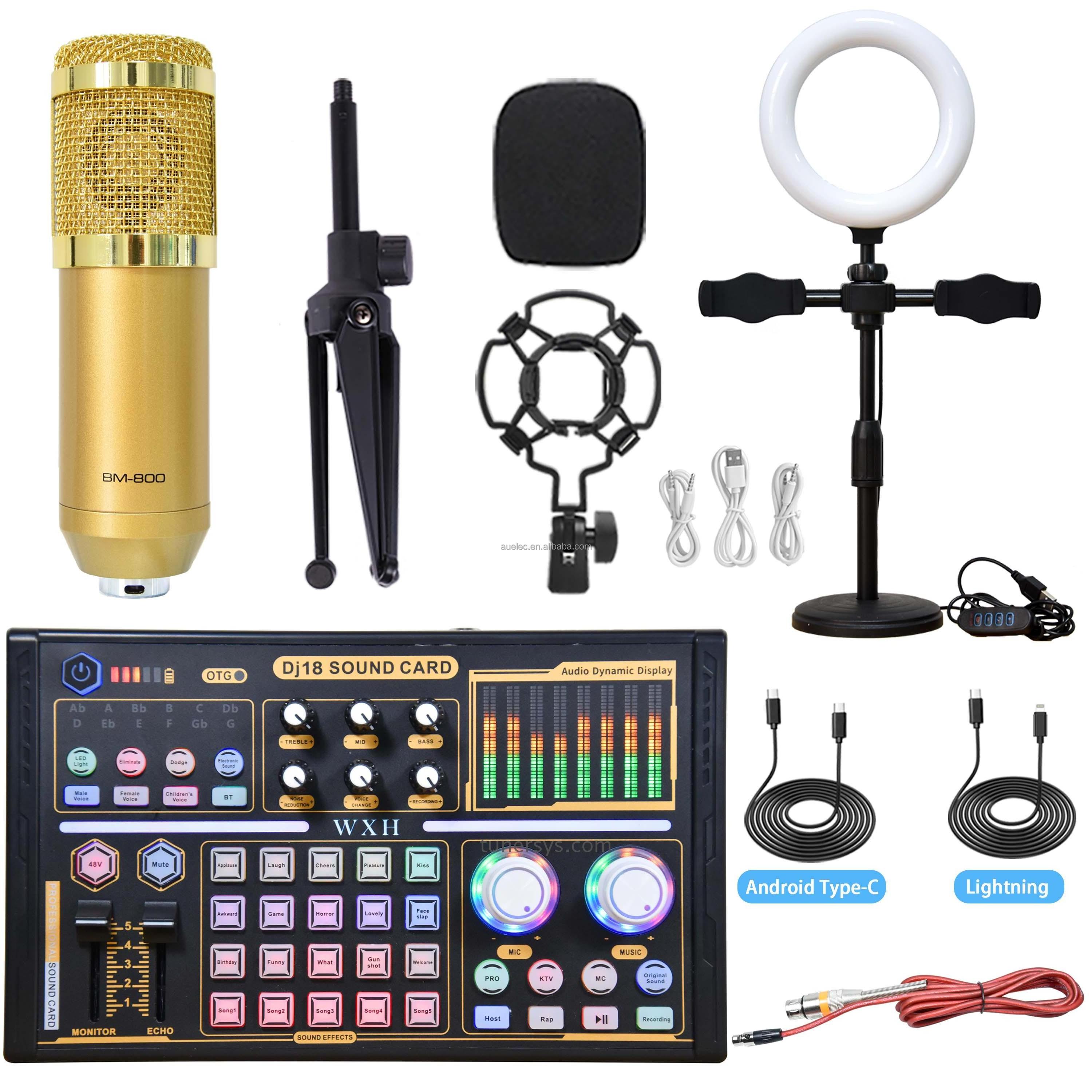 Professional Studio Karaoke Mini Dj Mixer With Dual Microphone Input Live Stream Podcast Equipment Bundles Live Sound Card