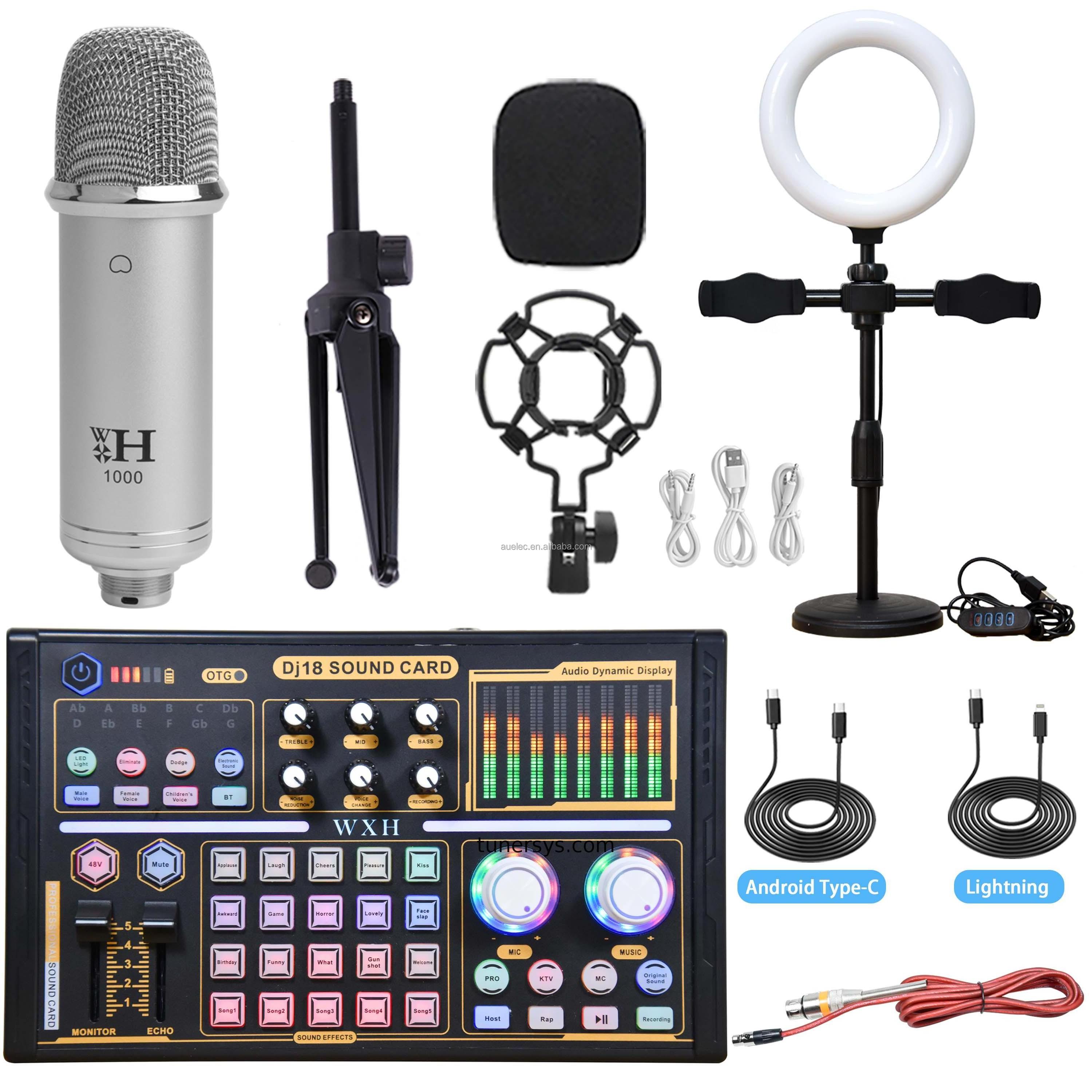 Professional Studio Karaoke Mini Dj Mixer With Dual Microphone Input Live Stream Podcast Equipment Bundles Live Sound Card