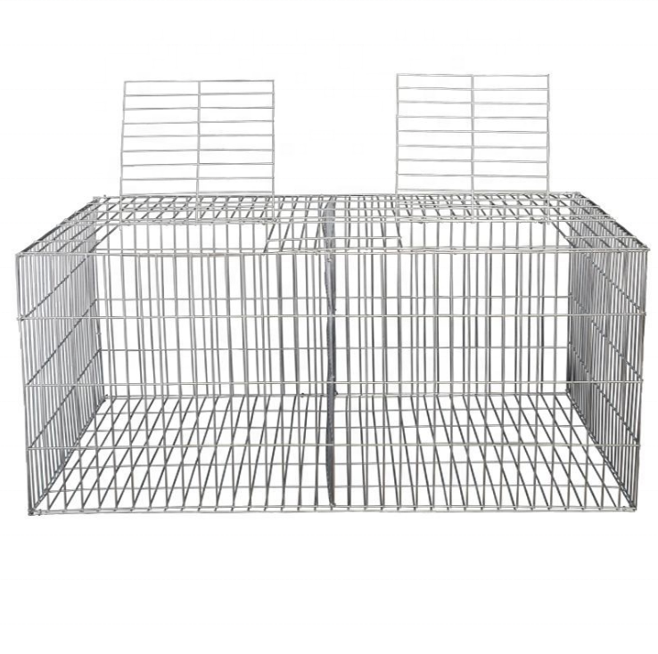 Customized cages for pigeons Bird Cage  breeding cage pigeon with pigeon food free