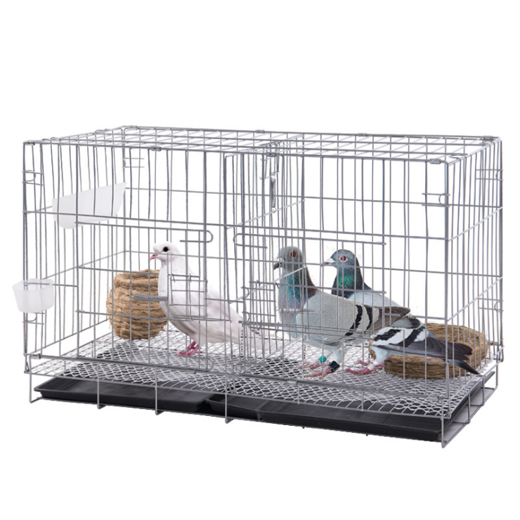 Customized cages for pigeons Bird Cage  breeding cage pigeon with pigeon food free