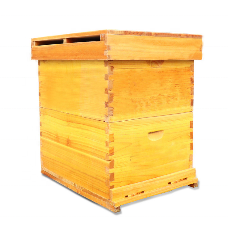 Benefitbee beekeeping honey bee hive box wooden custom beehive with queen excluder plastic