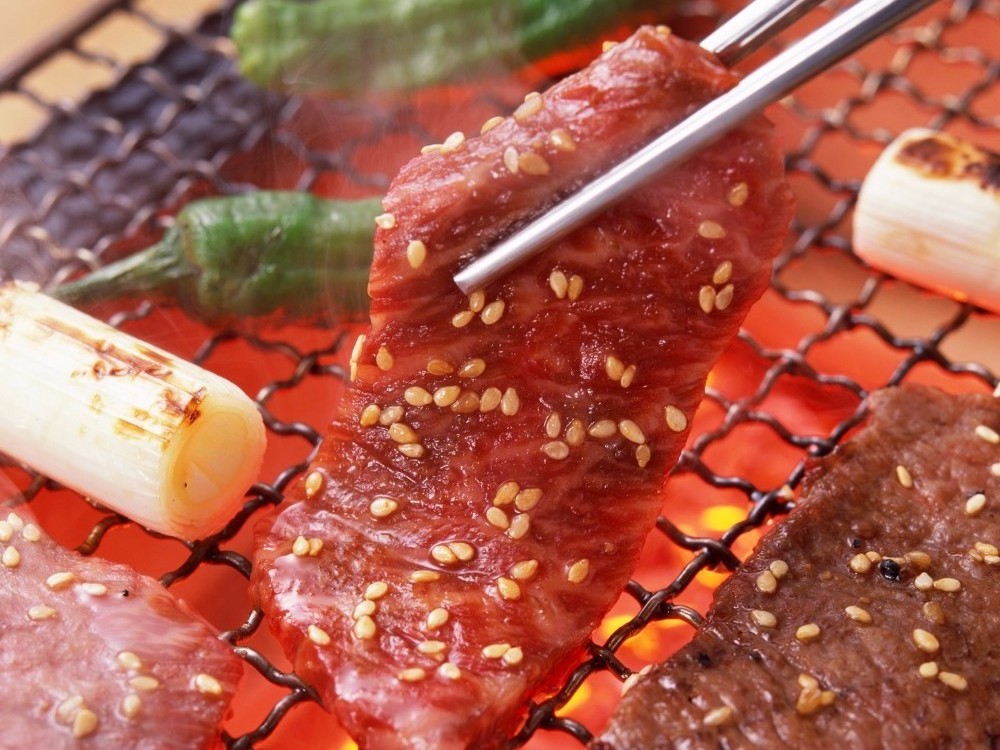 Auplex Skewers Contact Yakiniku /yakitori /Teppanyaki Ceramic Kamado Round Japanese Charcoal BBQ Grill