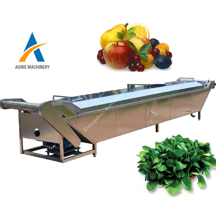 fruit ginger vegetable blanching machine