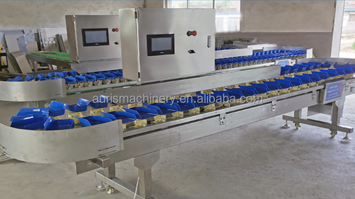 Automatic oyster grading machine mussels shellfish weight sorting machine for seafood