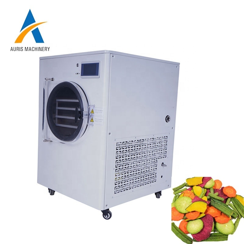 Small freeze dryer price industrial mini homsmall mealworms dryer machine price small freeze vacuum dryer