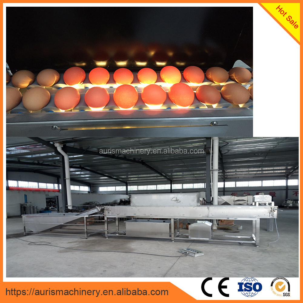 egg processing machine for egg washer, egg sorter, egg packer