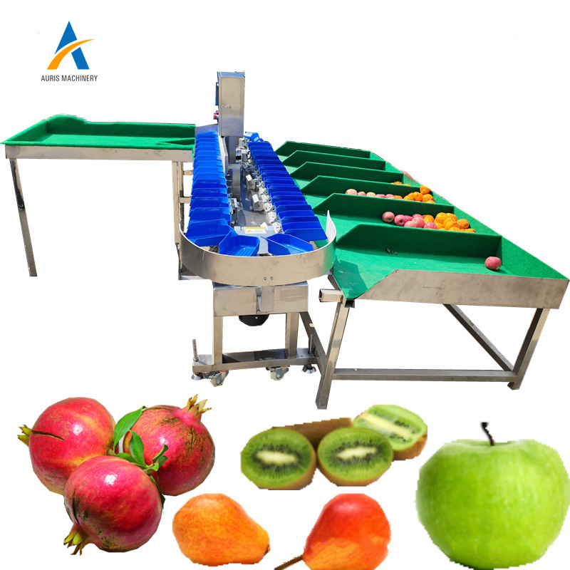 Automatic oyster grading machine mussels shellfish weight sorting machine for seafood