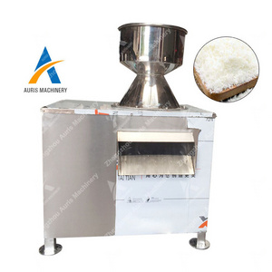 500 Kg/H Production Electric Coconut Grinder Grating Machine Coconut Shell Crusher Grinding milling crushing grinder Machine