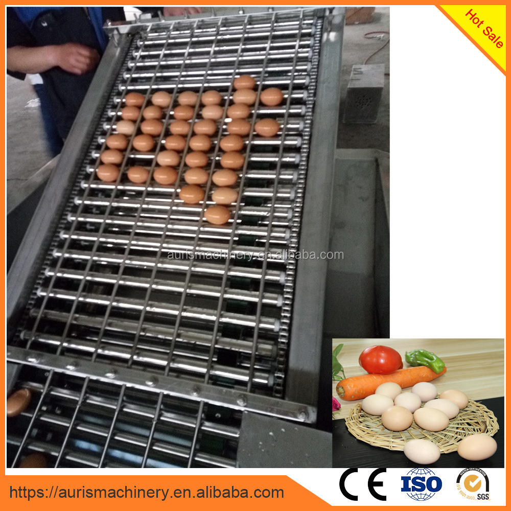 egg processing machine for egg washer, egg sorter, egg packer