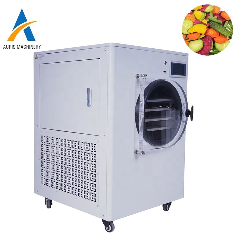 Small freeze dryer price industrial mini homsmall mealworms dryer machine price small freeze vacuum dryer