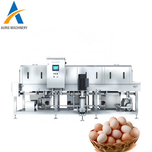 egg processing machine for egg washer, egg sorter, egg packer