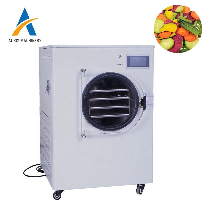 Small freeze dryer price industrial mini homsmall mealworms dryer machine price small freeze vacuum dryer