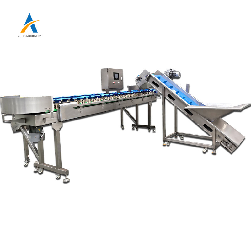 Automatic oyster grading machine mussels shellfish weight sorting machine for seafood