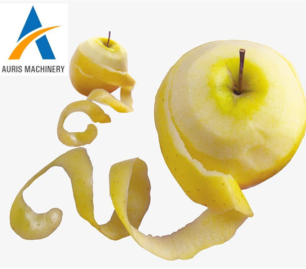 High speed automatic fruit juicer making use apple peel core machine orange apple peeler corer slicer machine