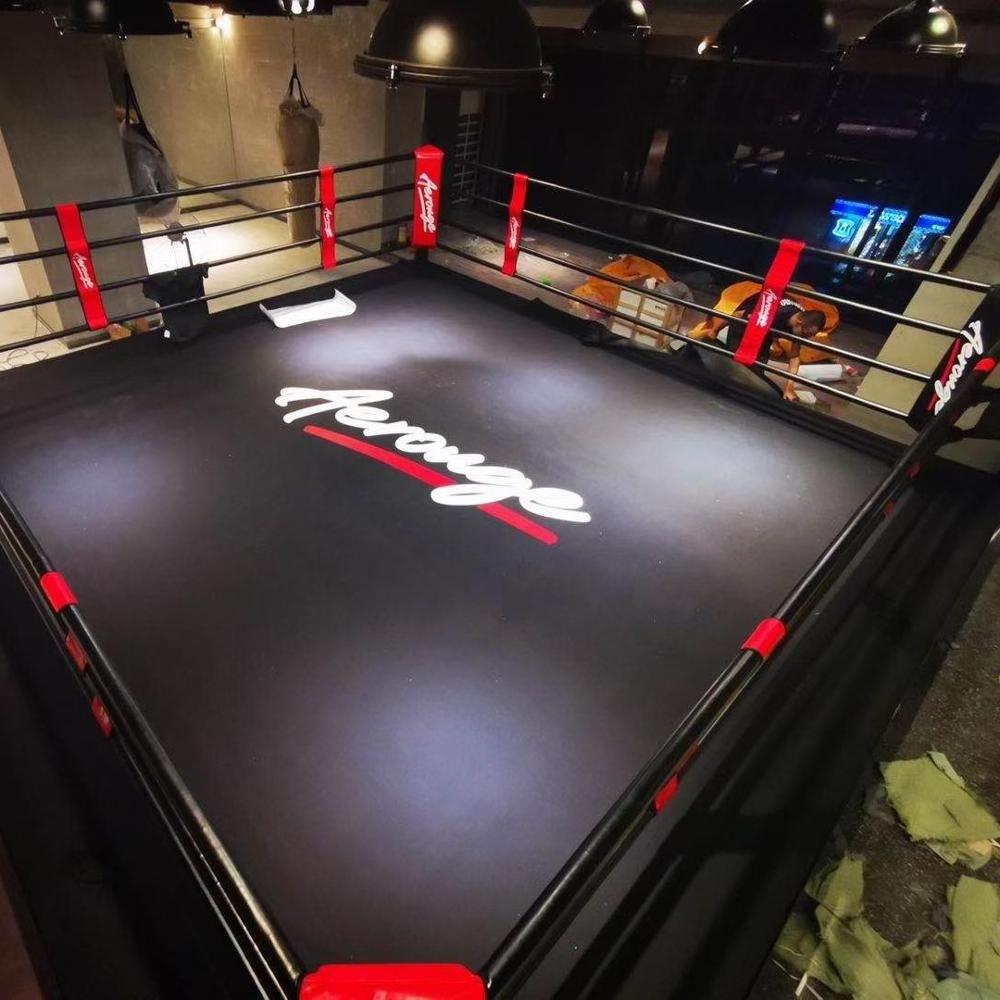 Hot Sale cheap International Standard Floor Boxing Ring 6m x 6m floor mounted boxing ring