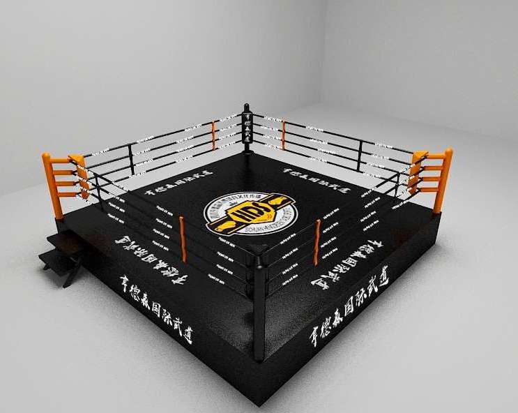 Wresing floor boxing ring mini boxing ring High quality floor boxing ring