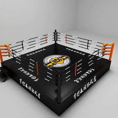 Wresing floor boxing ring mini boxing ring High quality floor boxing ring