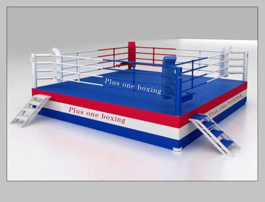 Wresing floor boxing ring mini boxing ring High quality floor boxing ring