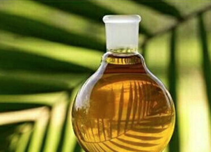 China Factory Supply Man`s health  Saw Palmetto  Oil  85%  Saw Palmetto Berry Extract Oil