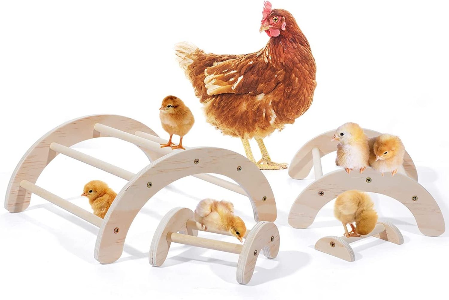 Chick Perch for Coop Brooder 4Pcs Chicken Perch Stand Roosting Training  Chicken Swing Toy Easy to Assemble and Clean