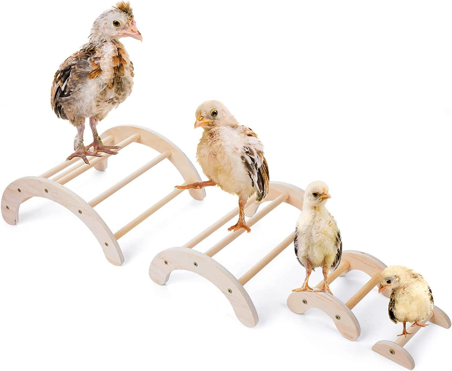 Chick Perch for Coop Brooder 4Pcs Chicken Perch Stand Roosting Training  Chicken Swing Toy Easy to Assemble and Clean