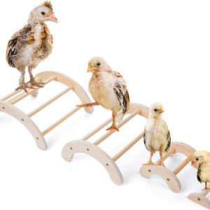 Chick Perch for Coop Brooder 4Pcs Chicken Perch Stand Roosting Training  Chicken Swing Toy Easy to Assemble and Clean