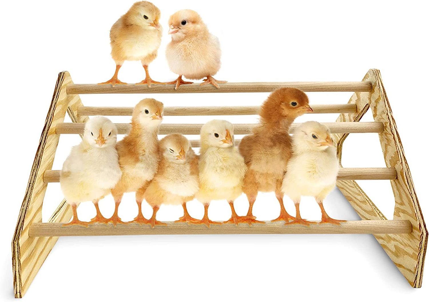 Backyard Barnyard Chick Perch Strong Wooden Jungle Gym Roosting Bar Chicken Toys for Coop and Brooder for Baby Chicks