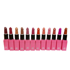 Factory Wholesale Pink Tube Mushroom Head Matte Lipstick Long Lasting Tinted Matte Lip Cosmetic Lipstick