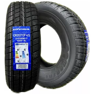 car all season 255 55R19 passenger car tires