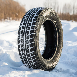 Zeta Car Tires Winter Passenger Car Tyre with Certificates Studdable Tyre for Ice Snow