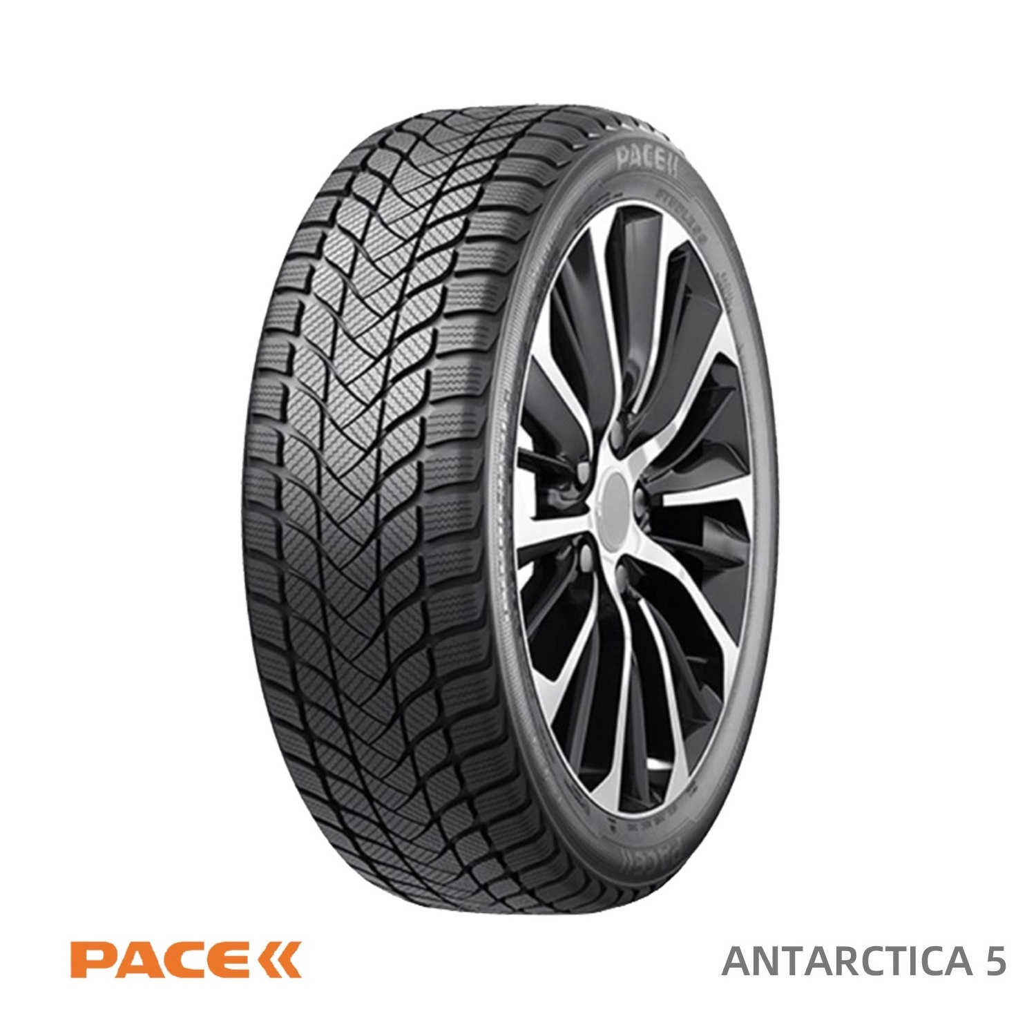 PACE Winter Van Car Tires for Studded 235 65R16C 205 70R15C 5 Years Quality warranty  Antarctica 8 ECE Approved