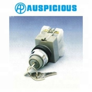 22mm, 25mm, 30mm 2 Position / 3 Position Key Lock Switch, Selector Switch (AKSS)