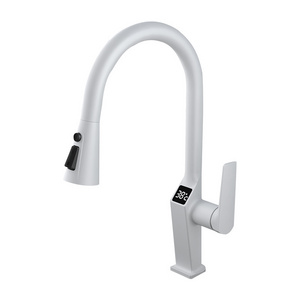 New Design digital display kitchen pull out faucet washbasin faucet external hand shower sink shower kitchen faucet pull out