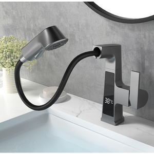 Digital Matte Black Animal Bathroom Faucet Hot Sale Hot Cold Bathroom Wash Unique Single Basin Faucet Modern Bathroom Mixer