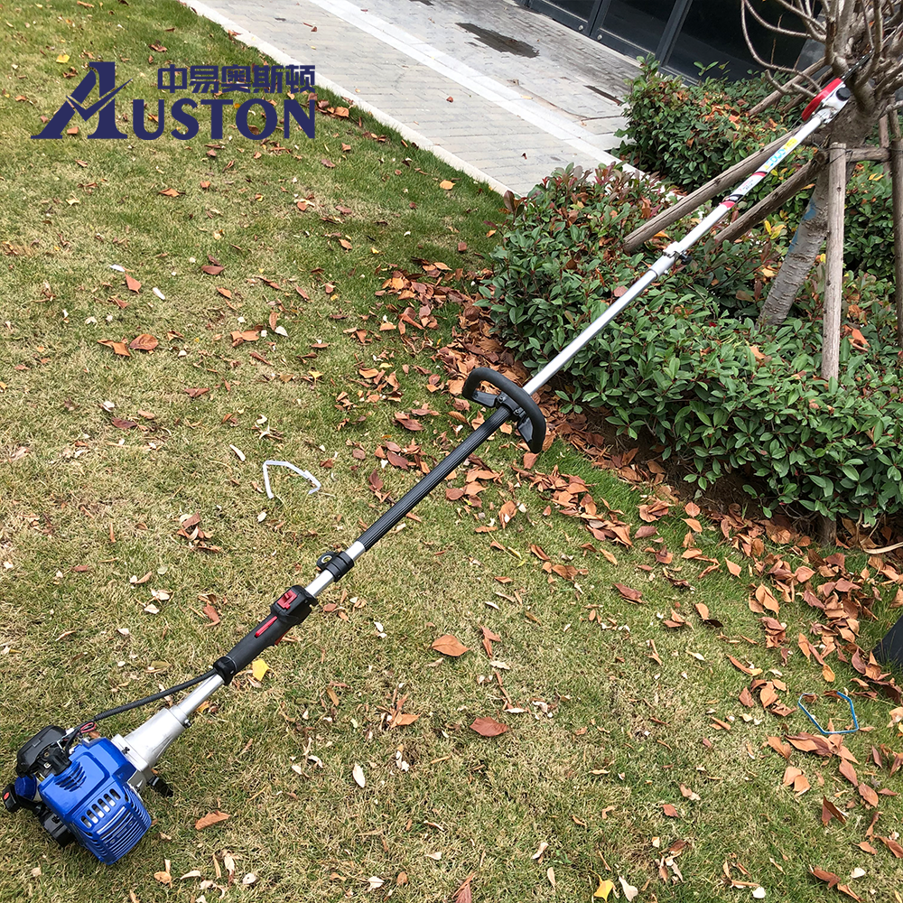 Tree Branch Cutting 2 Stroke Gasoline Petrol Power Pruning Telescopic Pole Chainsaw