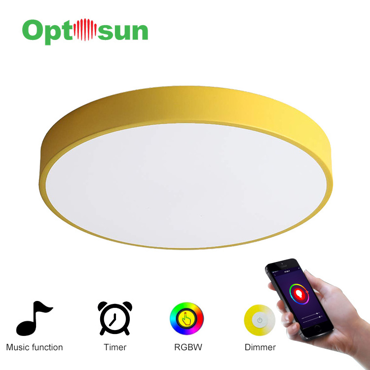 Tuya WIFI Light Ceiling Flush Mount 24W Ceiling Lamp Dimmable 2700K 6500K RGB Ambient Light Alexa Google Home Led Ceiling Light