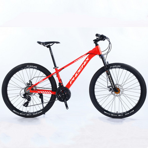 Adult Mountain Bikes Low Price 24 Speeds Mountain Bikes in Stock