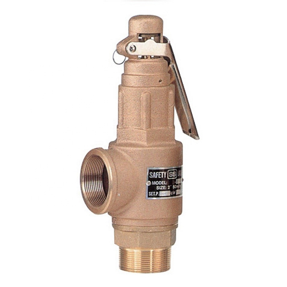 COVNA DN50 2 inch NPT / BSPT Thread Brass Bronze Boiler Steam Safety Relief Valve with Lever