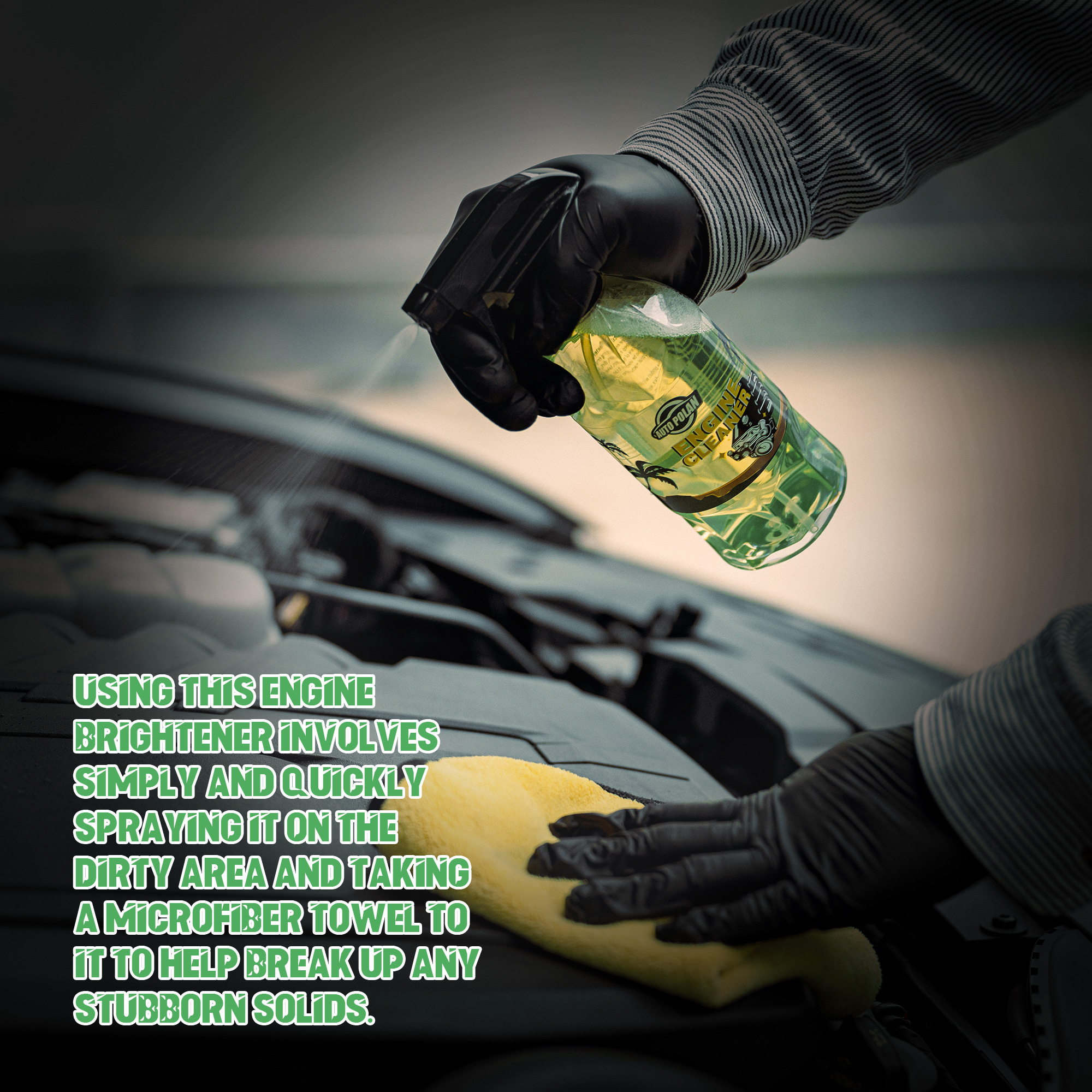 Autopolan Engine Bay Degreaser All Purpose Cleaner Concentrate Cleans Compartment Auto Detail Cleaning and Renovate