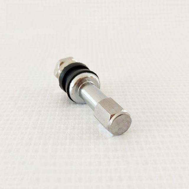 TR48E/V-5 Bolt-in Tubeless Wheel Tire Valve Stems with Dust Caps Universal Stainless Steel Explosion Proof Valve Stem