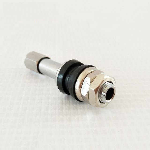 TR48E/V-5 Bolt-in Tubeless Wheel Tire Valve Stems with Dust Caps Universal Stainless Steel Explosion Proof Valve Stem