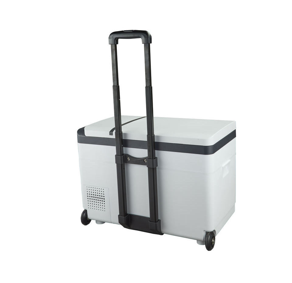 Easy to Use AC 110-220V DC 12/24V Mini Bar Outdoor Camping With Wheels Portable Compressor Car Refrigerator