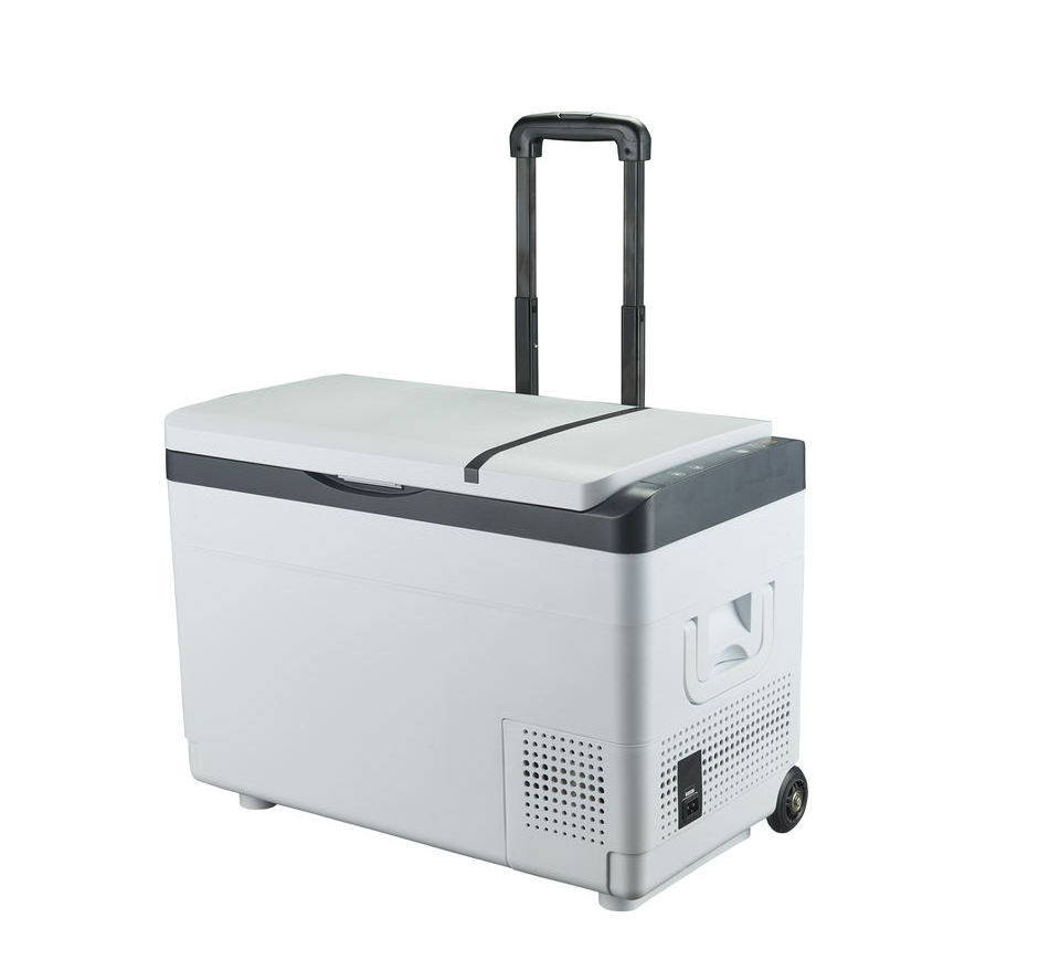 Easy to Use AC 110-220V DC 12/24V Mini Bar Outdoor Camping With Wheels Portable Compressor Car Refrigerator