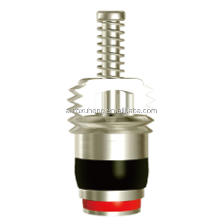 Good quality Auto AC Air Conditioning Valve Core For charging Port of Car ac pipeline/Fittings