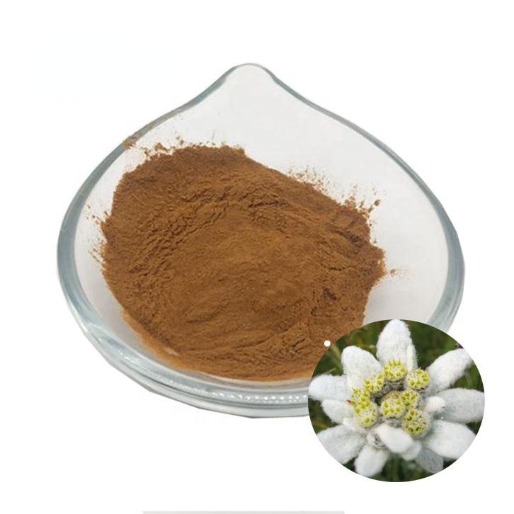 Beauty Care Ingredients Leontopodium Alpinum Edelweiss Flower Extract Powder 1% Ferulic Acid