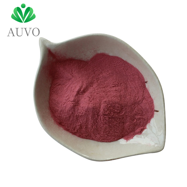 Wholesale synsepalum dulcificum fruit extract miracle berry fruit powder