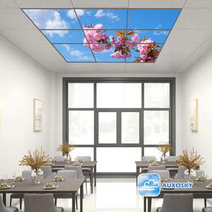 AUXOSKY And Image Clouds Mood Cloud 60x60 Virtual Skylight Led Ceil Sky Ceiling Light 3d Panel  Indoor virtual skylight ceiling