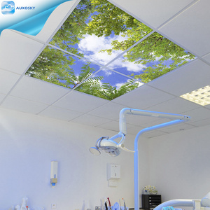 AUXOSKY Blue Sky Cover Replacement Light Design Skylight 60x60 Led Drop Ceiling Lights 2x2 Panel