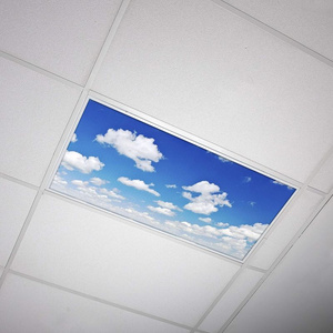 Supplier Amazon Hot Sale Fluorescent Light Cover Magnetic Fluorescent Light Covers for Ceiling Lights Classroom 2x4 Custom Image