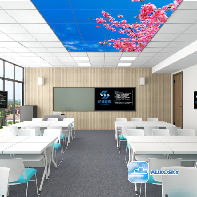 AUXOSKY led light panel ceiling Modern slim led ceiling light panel commercial led skylight panel ceiling skylight